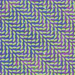 Album cover of 'Merriweather Post Pavilion.'
