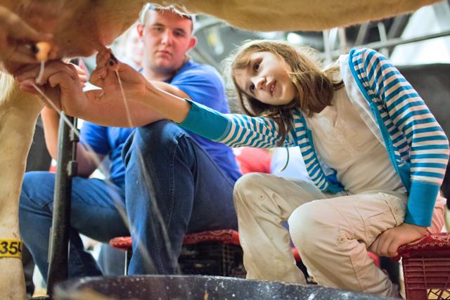 At the Animal Science Club Milking Booth at the North Carolina State Fair, William Haigler, a freshman in agriculture science, helps Katie Griffith of Wadesboro milk a cow on Saturday. Haigler said that the booth gives kids an experience they don't have in the city. "We're just trying to show kids what goes on as far as livestock and the dairy industry in general," he said. Photo by Matt Moore