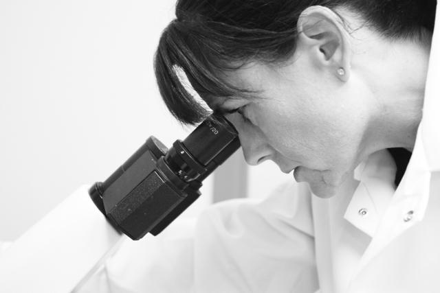 Elizabeth Loboa, professor in biomedical engineering, works to maximize the health applications of stem cells and their ability to restore tissue. Photo by Alex Sanchez