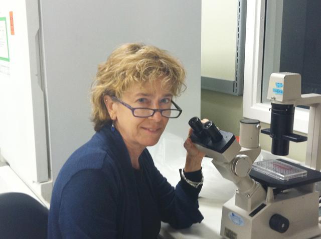 Barbara Sherry, a researcher at the College of Veterinary Medicine, is working to find how heart cells are resistant to many types of viruses. Photo courtesy of Hassan DuRant