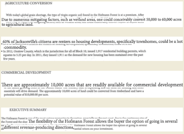 Hofmann Forest LLC&#8217;s intentions revealed
