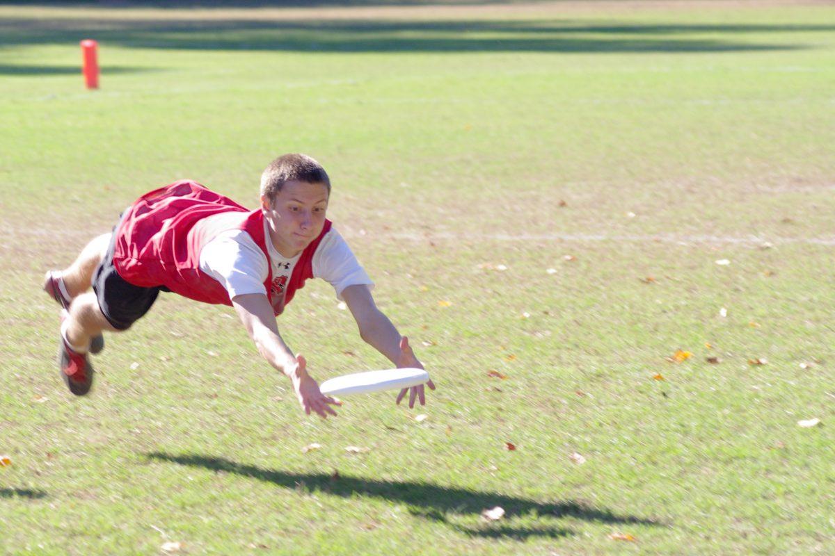 Danny Schmitt, senior in biology, dives for the disc during a tournament last fall.&#160; The Wolfpack is ranked No. 31 in&#160; the nation.