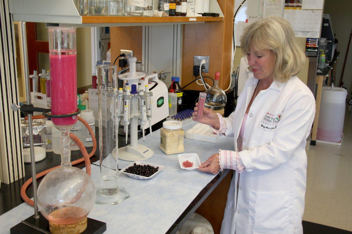 A team of scientists in Dr. Mary Ann Lila&#8217;s lab at N.C. State&#8217;s Plants for Human Health Institute have developed a peanut-based flour that could lessen life-threatening allergic reactions to peanuts.