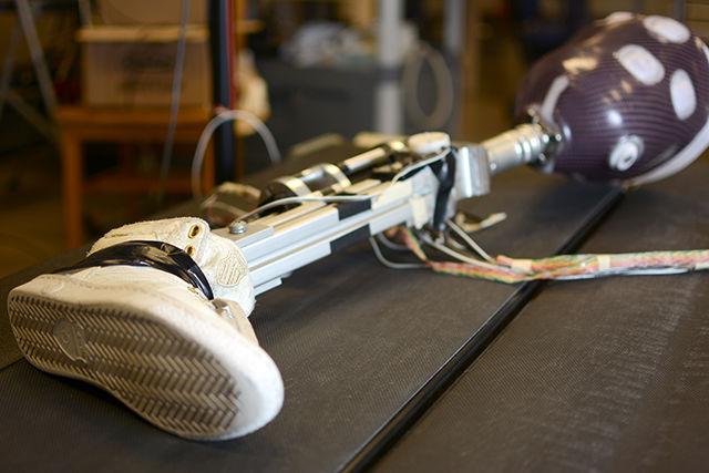 A prosthetic limb lies in the lab of Helen Huang, associate professor in the biomedical engineering department. Professor Huang and her team work to find better ways for prosthetics and the brain to communicate.