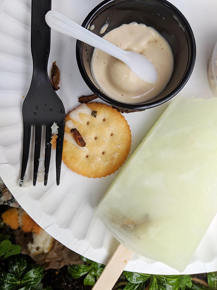 Bug popsicles, crispy Cajun crickets, and peanut butter worm ice cream were just some of the featured dishes at Cafe Insecta. BugFest 2018 occurred at the North Carolina Museum of Natural Sciences on Saturday, Oct. 20.