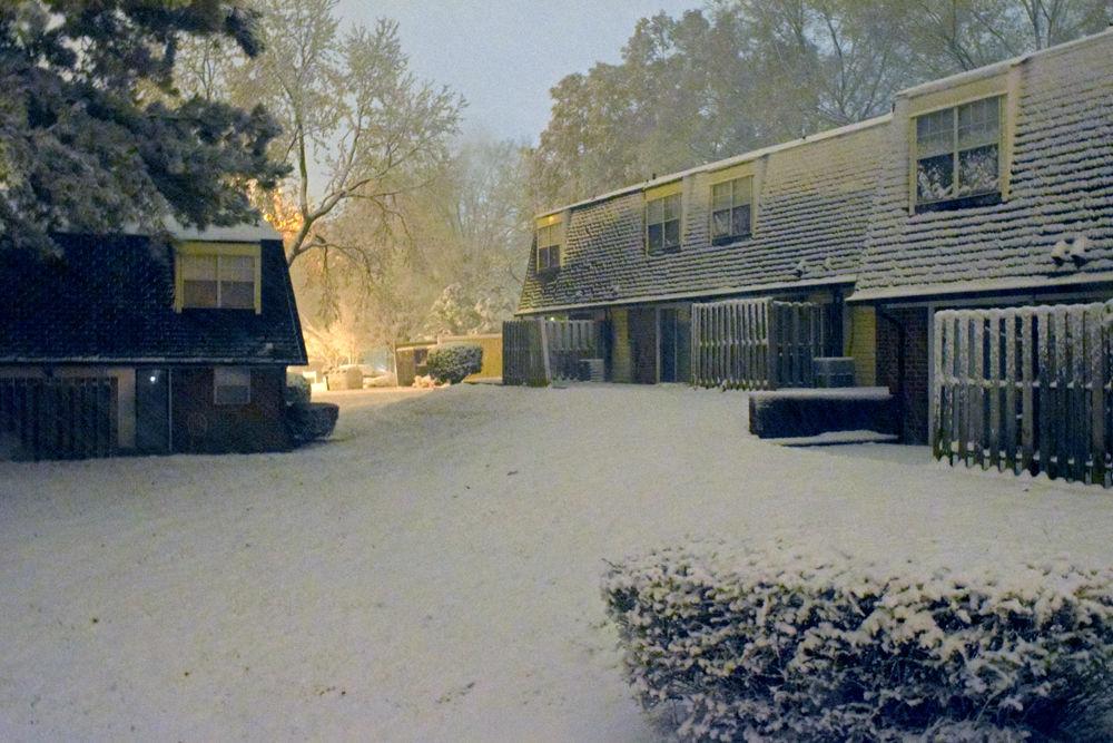 Snow covers bushes, trees and houses at Kings Court near Gorman Street during the early hours of Sunday, Dec. 9.&#160;&#160;