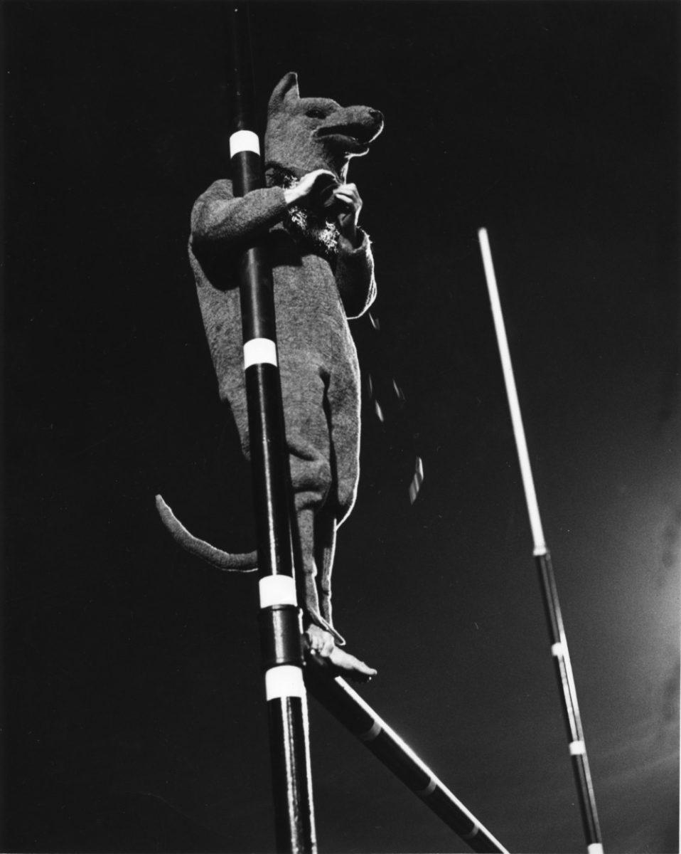 University Archives Photograph Collection. Athletics Photographs, 1893 - 2003 (UA023.004), Special Collections Research Center at NC State University Libraries