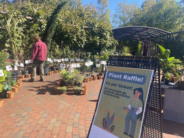 A plant raffle pictured in Governors Scott Courtyard on Sunday, Oct. 22, 2023. Pi Alpha Xi, an honors society at NC State, held a plant raffle to fund a memorial scholarship to honor an NC State horticulture alum who died.