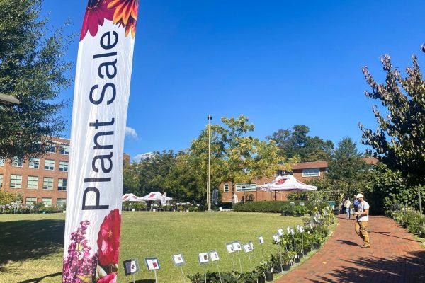 Plants pictured in Governors Scott Courtyard on Sunday, Oct. 22, 2023. Pi Alpha Xi, an honors society at NC State, holds a plant sale to fund horticulture scholarships for students.