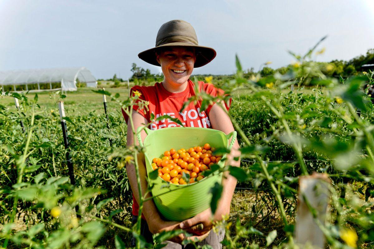 Students work at the CALS Agroecology farm off Lake Wheeler Road. Photo by Marc Hall