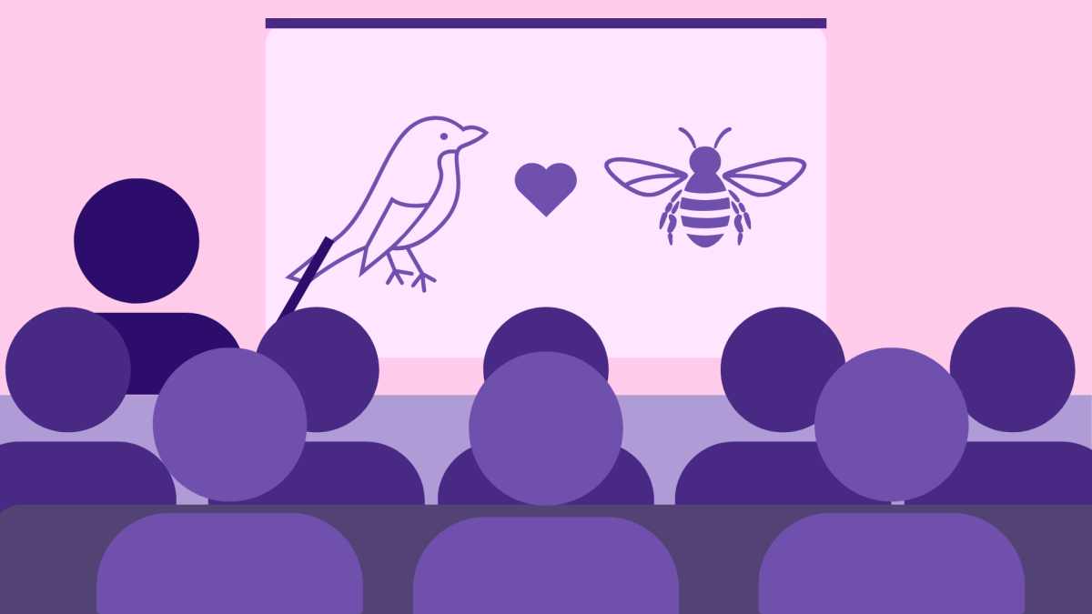 Let&#8217;s learn about sex: Classes on sex and love