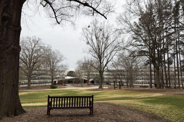 A bench sits in front of Bragaw Residence Hall on Saturday, Feb. 15, 2025. Bragaw Hall, along with Sullivan and Lee Residence Hall, will be demolished in part of the Cates West Development Project.