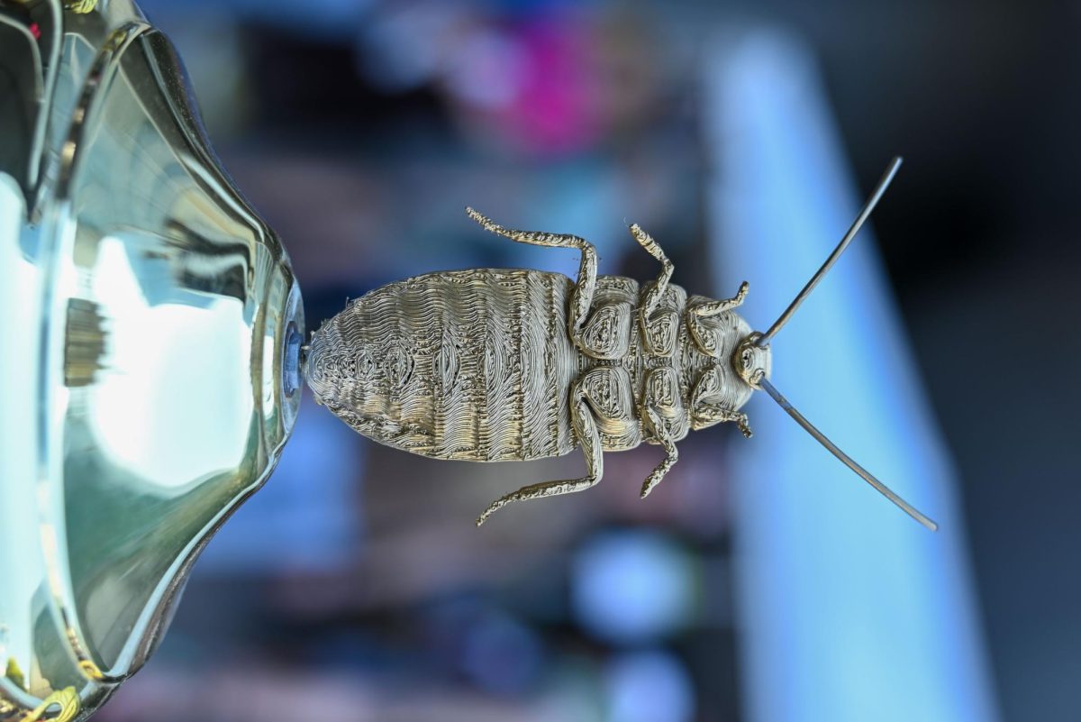 BugFest_Trophy_VB