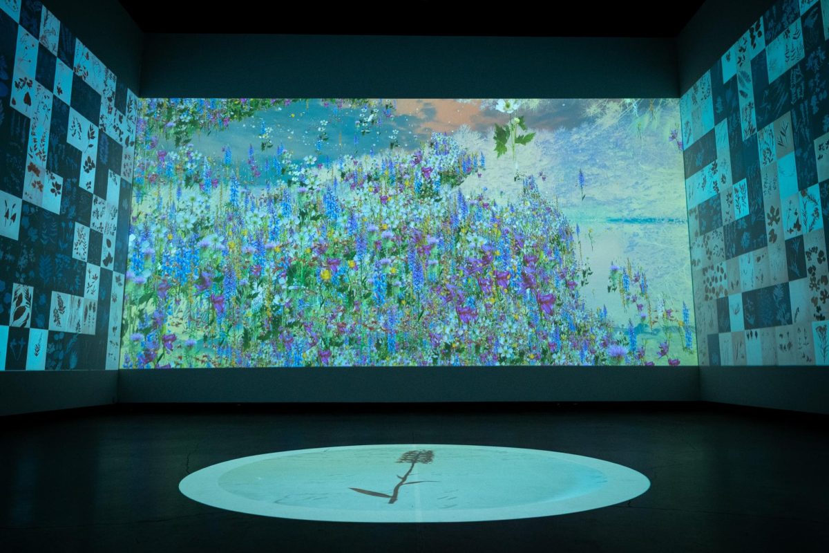 Projected designs line the interior of the Black-Sanderson Gallery in the Gregg Museum of Art and Design on Friday, Sept. 12, 2025. This exhibition immerses viewers in Henry Thoreau’s study of plant life and extinction.