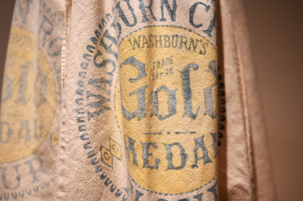 Details of a feedsack dance skirt in the Your Brain on Art exhibit at the Gregg Museum of Art and Design on Friday, Sept. 12, 2025. The exhibit explores the connection between art and neuroscience and encourages visitors to examine how works of art make them think and feel.