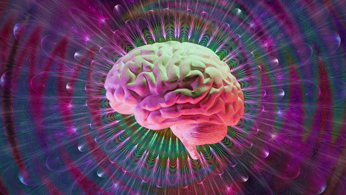 Senate Bill 568 seeks to prepare NC for a future of psychedelic-assisted therapy