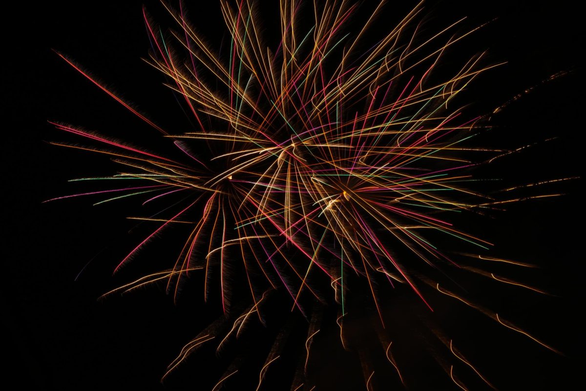 Fireworks light up the night sky during the North Carolina State Fair on Oct. 22, 2025. The fairgrounds host a mix of entertainment, food, and art displays. 