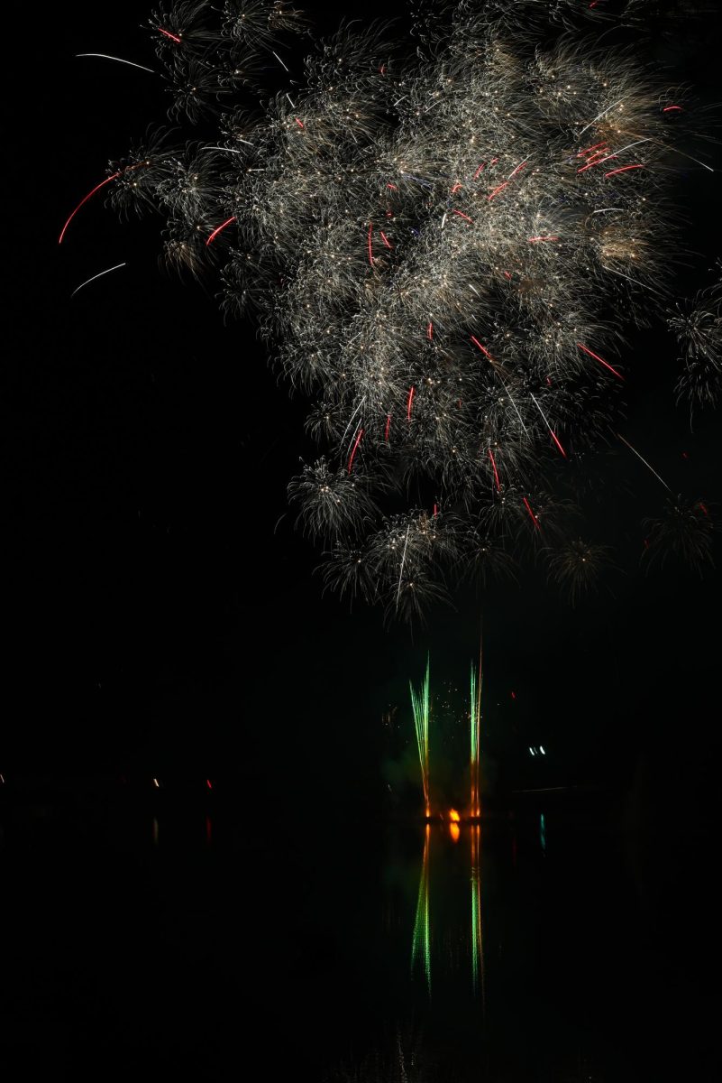 Fireworks light up the night sky during the North Carolina State Fair on Oct. 22, 2025. The fairgrounds host a mix of entertainment, food, and art displays. 