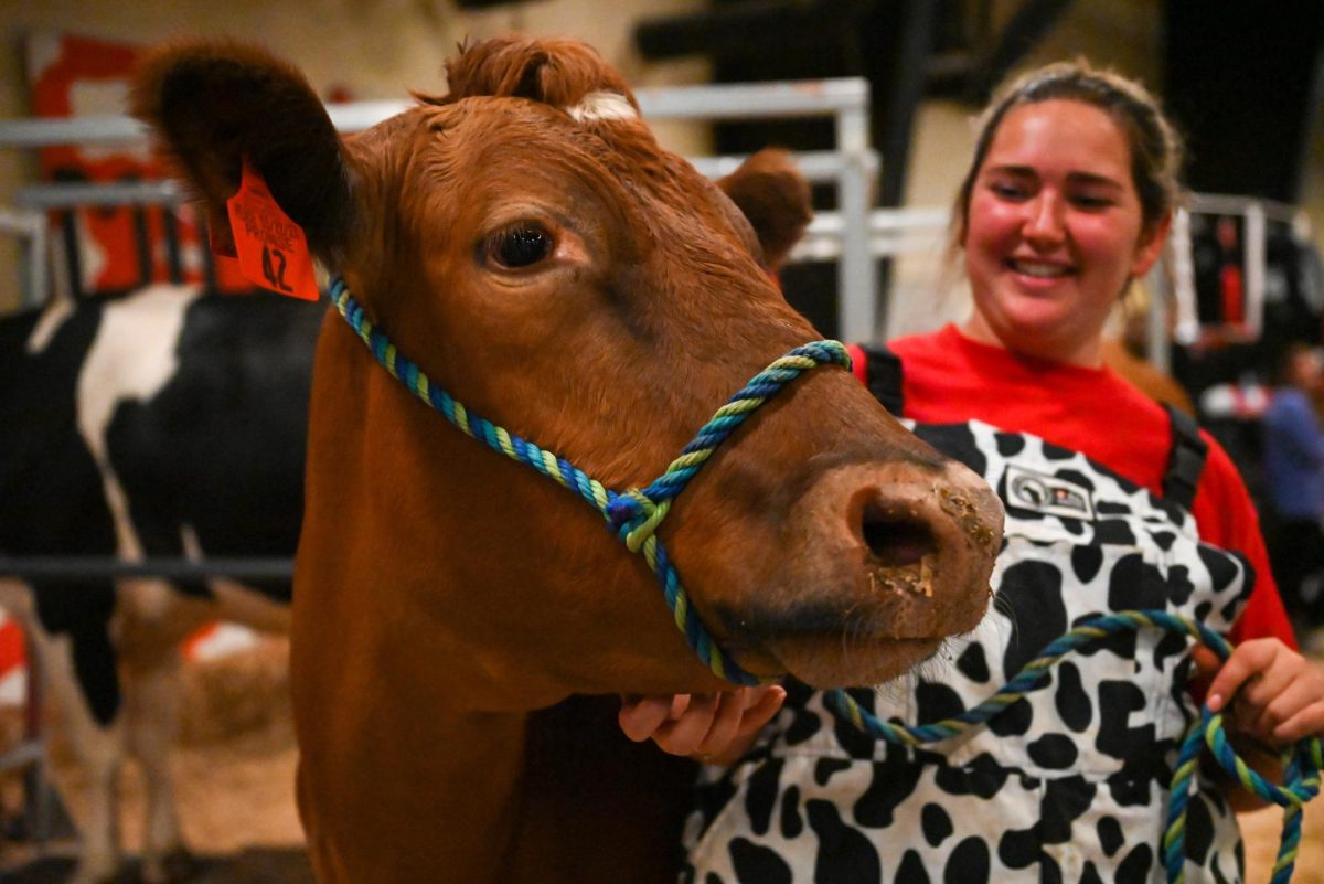 StateFair_GirlShowsCrowdCow_AJP