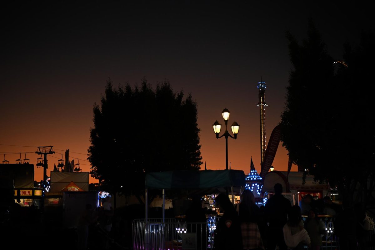 StateFair_Sunset LG (2)