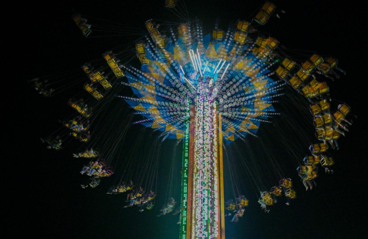 Statefair_swings LG