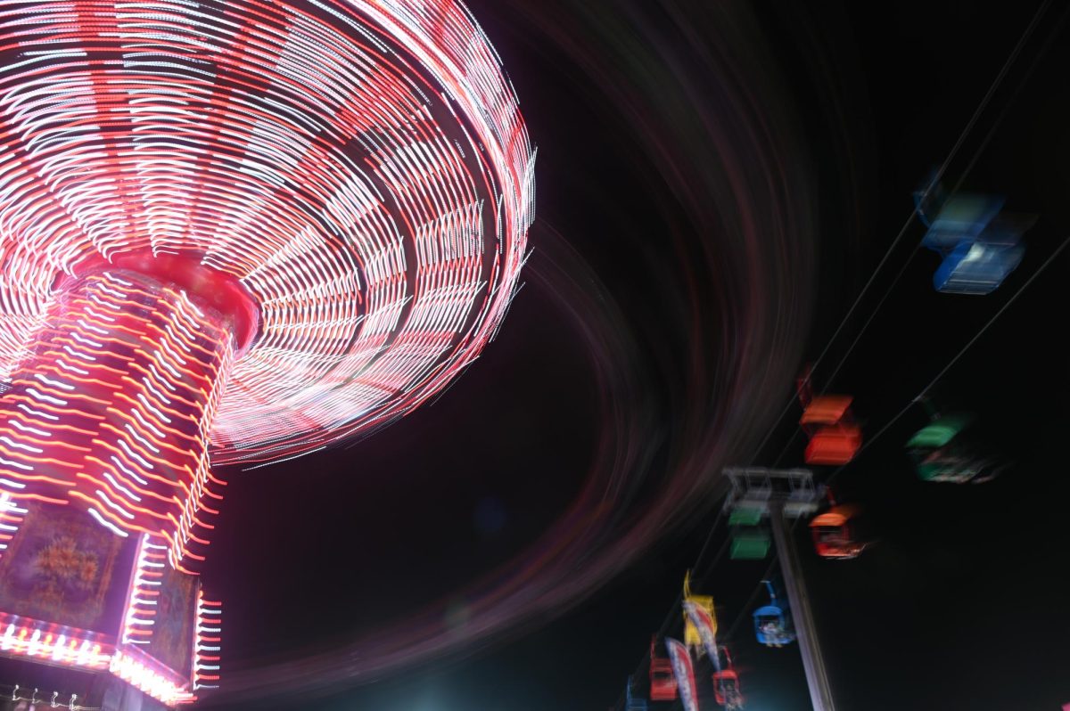 statefair_swings_LG