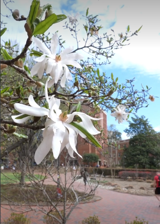 Spring Break on Campus